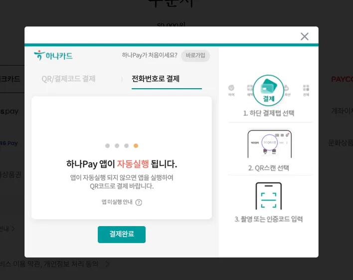 결제 승인 보내기 전 클라이언트 화면